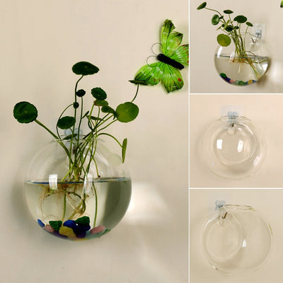 Transparent Glass Vase Wall Hanging Hydroponic Terrarium Fish Tanks Potted Plant Flower pot Dia 8/10CM