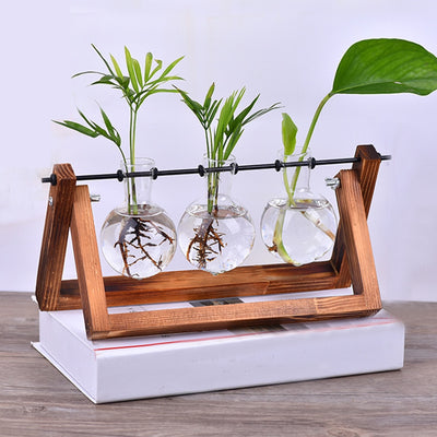 New Hydroponic Plant Vases Glass Vase Planter Terrarium Table Desktop Bonsai Flower Pot Hanging Pots with Wooden Tray Home Decor