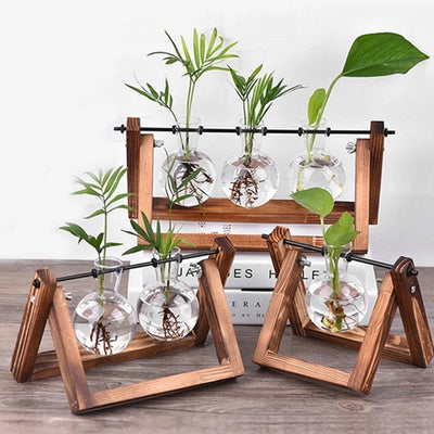 Hydroponic Vase Transparent Vase Glass Wooden Desktop Decoration Family Sturdy Beautiful Glass Bottle Vase