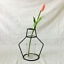 Creative Art Style Retro Iron Line Flowers Vase Metal Plant Holder Modern Solid Nordic Styles Iron Vase Home Art Garden Decor