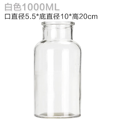 Glass Vase Home Small Hydroponic Plant Glass Bottle Living Room Decoration Dried Flower Decoration Transparent Flower Vase