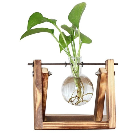 Newest Creative Fashion Exquisite Hanging Glass Flower Planter Vase Terrarium Container Home Garden Office Ball Decor  Dropship