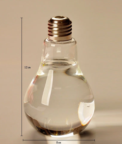 Home Decor Wedding Decoration Light Bulb Transparent Glass Vase Fashion Hydroponic Flower Vase Home Hecoration Gifts