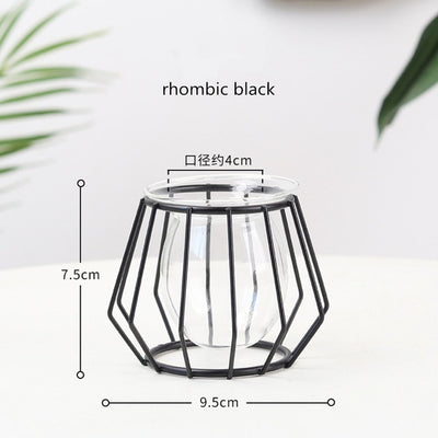 Nordic Style Golden Black Glass Hydroponic Iron Line Flower Vase Metal Plant Holder Modern Home Decor Vases Ornament