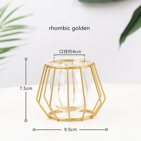 Nordic Style Golden Black Glass Hydroponic Iron Line Flower Vase Metal Plant Holder Modern Home Decor Vases Ornament