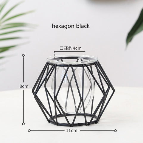 Nordic Style Golden Black Glass Hydroponic Iron Line Flower Vase Metal Plant Holder Modern Home Decor Vases Ornament