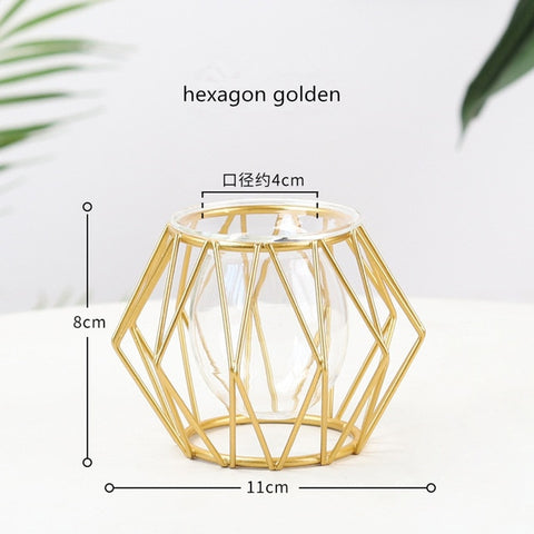 Nordic Style Golden Black Glass Hydroponic Iron Line Flower Vase Metal Plant Holder Modern Home Decor Vases Ornament