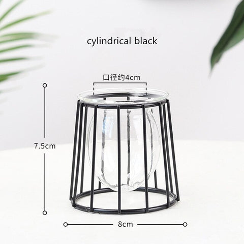 Nordic Style Golden Black Glass Hydroponic Iron Line Flower Vase Metal Plant Holder Modern Home Decor Vases Ornament