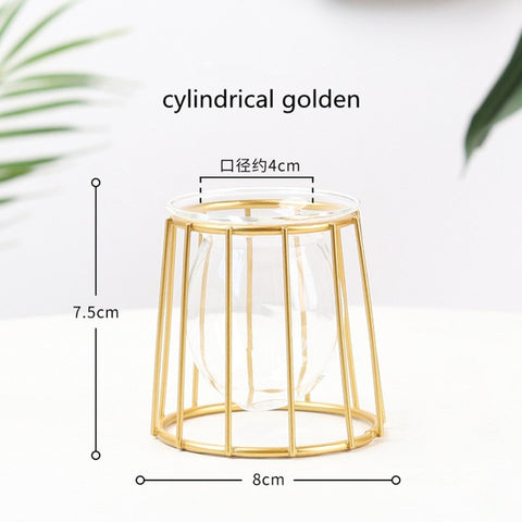 Nordic Style Golden Black Glass Hydroponic Iron Line Flower Vase Metal Plant Holder Modern Home Decor Vases Ornament