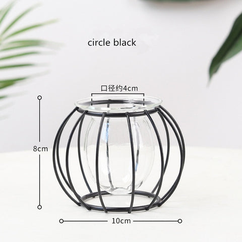 Nordic Style Golden Black Glass Hydroponic Iron Line Flower Vase Metal Plant Holder Modern Home Decor Vases Ornament