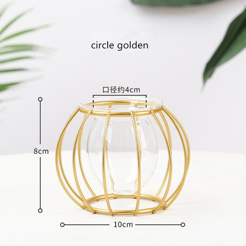 Nordic Style Golden Black Glass Hydroponic Iron Line Flower Vase Metal Plant Holder Modern Home Decor Vases Ornament