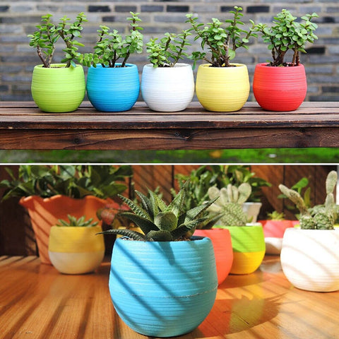 Mini Colourful Round Plastic Plant Flower Pots Home Office Decor Planter Bloempot Цветочный Горшок Украшение