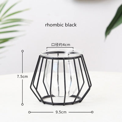 Nordic Style Golden Black Glass Hydroponic Iron Line Flower Vase Metal Plant Holder Vases Ornament Modern Home Decor