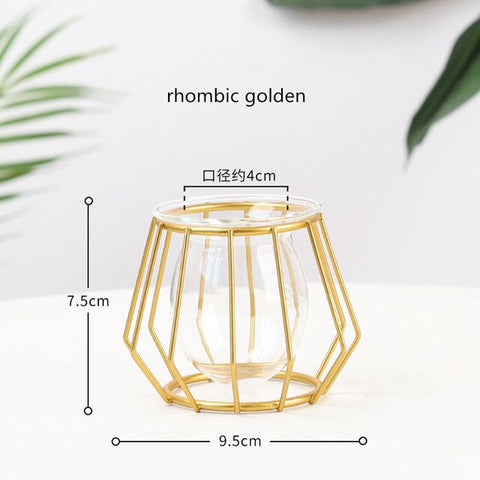 Nordic Style Golden Black Glass Hydroponic Iron Line Flower Vase Metal Plant Holder Vases Ornament Modern Home Decor