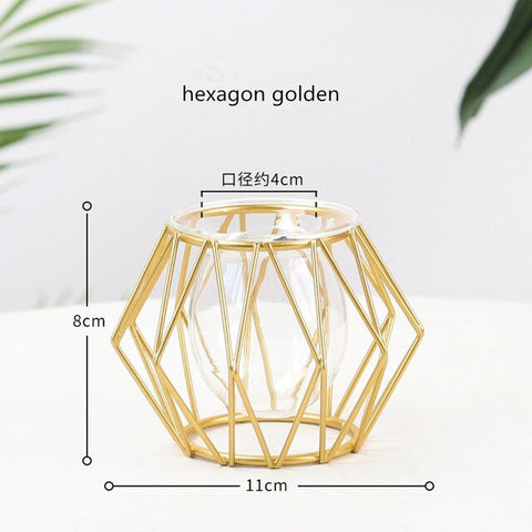 Nordic Style Golden Black Glass Hydroponic Iron Line Flower Vase Metal Plant Holder Vases Ornament Modern Home Decor