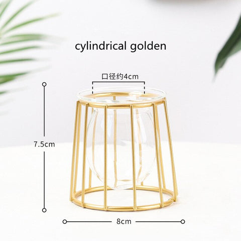 Nordic Style Golden Black Glass Hydroponic Iron Line Flower Vase Metal Plant Holder Vases Ornament Modern Home Decor