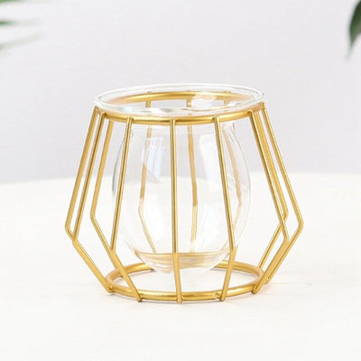 Nordic Golden Glass Vase Terrarium Geometric Iron Line Vase Hydroponic Plant Flower Vase Metal Plant Holder Home Decor Modern